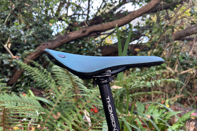 2025 brooks cambium carved profile.jpg